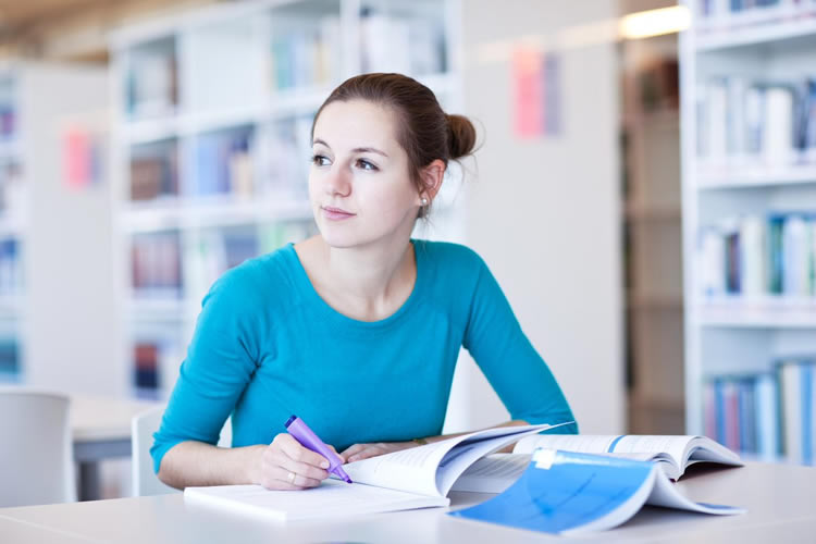 Oferta laboral como profesor de lengua y literatura